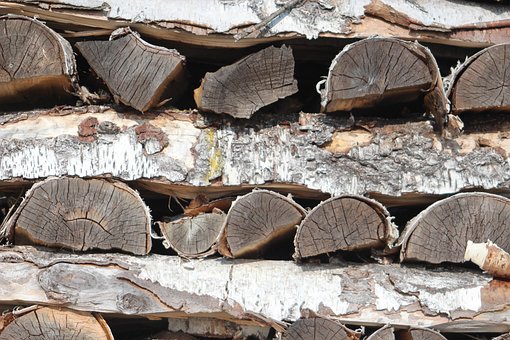 Free Wood Pile Of Wood photo and picture
