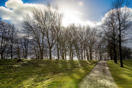 Free Sun Path photo and picture