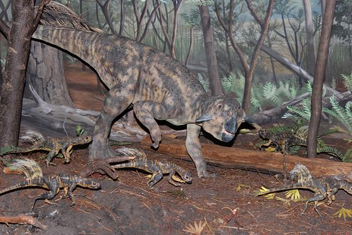 Free Dinosaur Psittacosaurus photo and picture