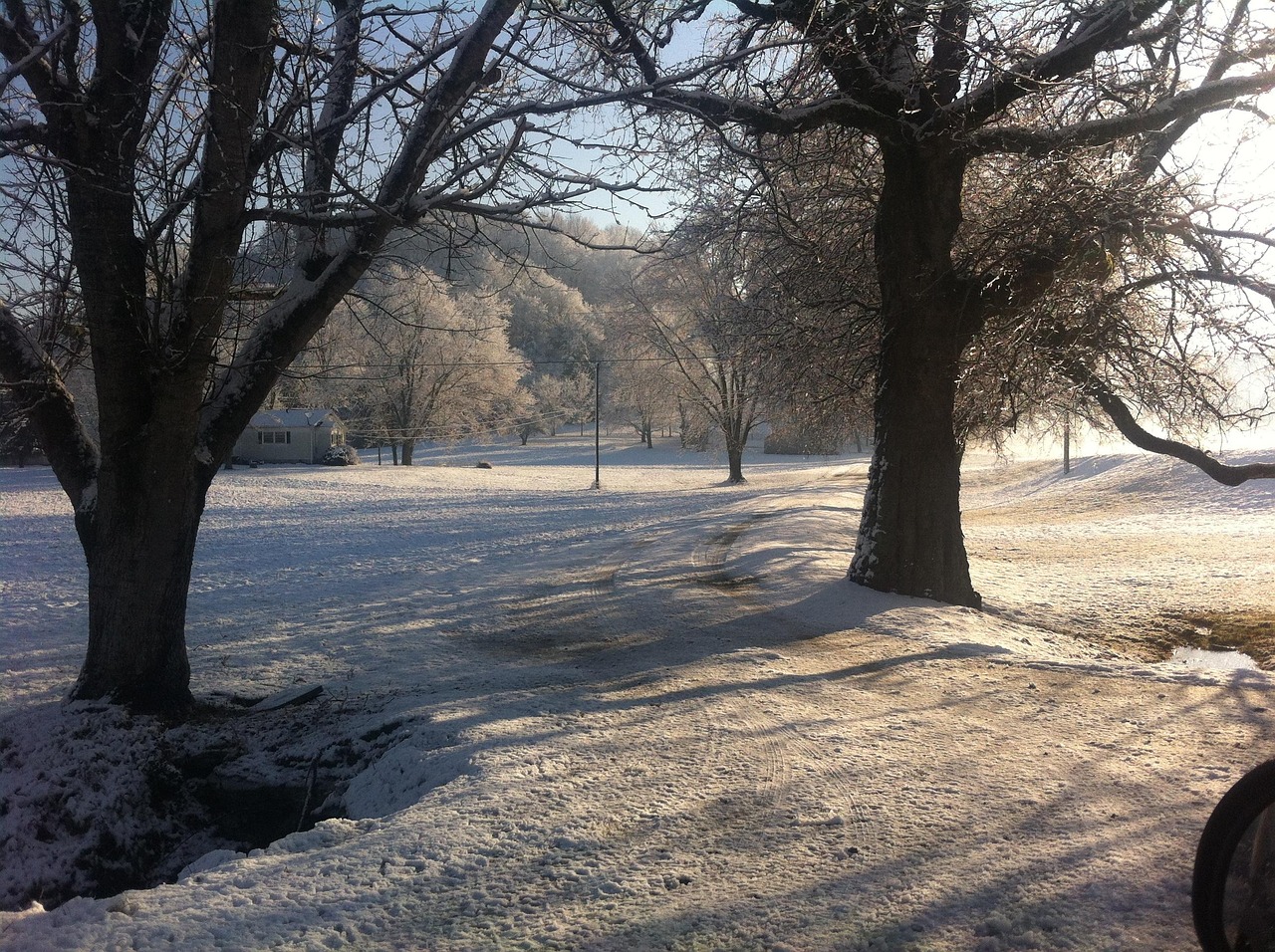 Free Snow Scenery photo and picture