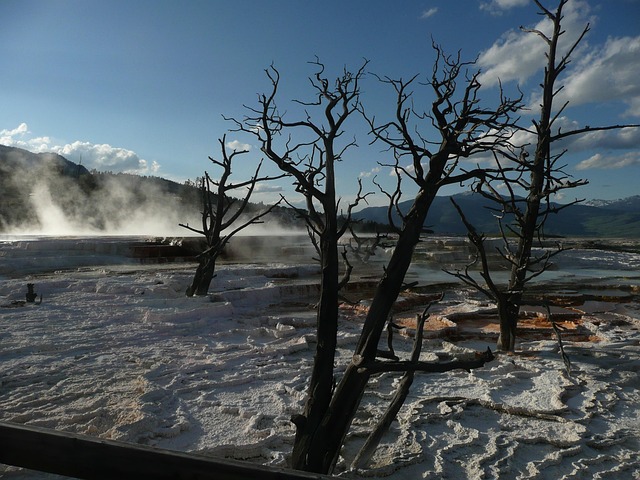 Free Yellowstone National Park Wyoming photo and picture