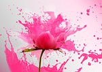 flowers, synthetic, artwork