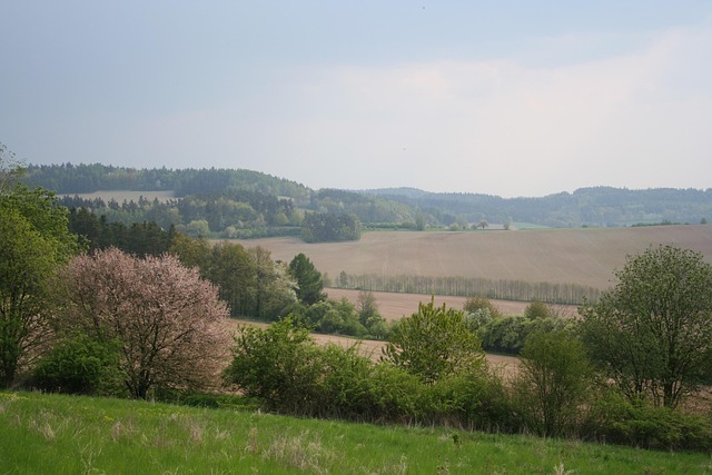 Feder, Land, Tschechische Republik