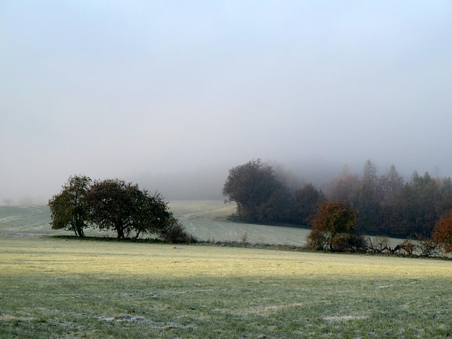 Herbst, Kalt, Grün, Traurigkeit, Land