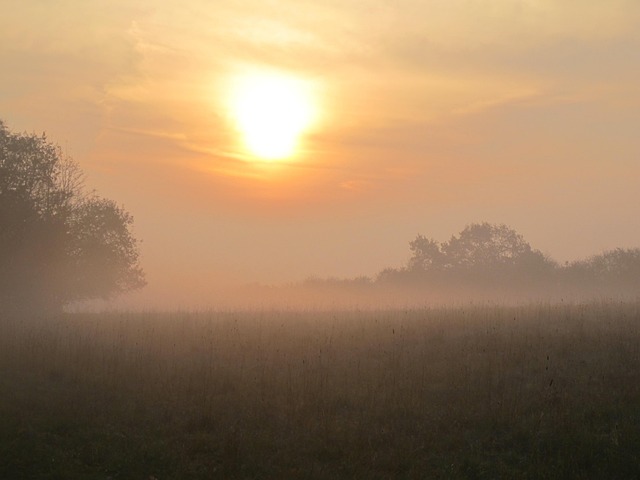 Morgen, Sonne, Dämmerung, Nebel, Herpes
