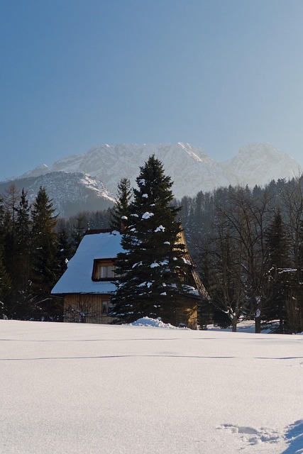 Tatry, Fjellene, Vinter, Vis, House