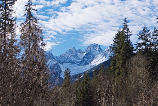 Tatry, Fjellene, Vinter, Skog, Himmel