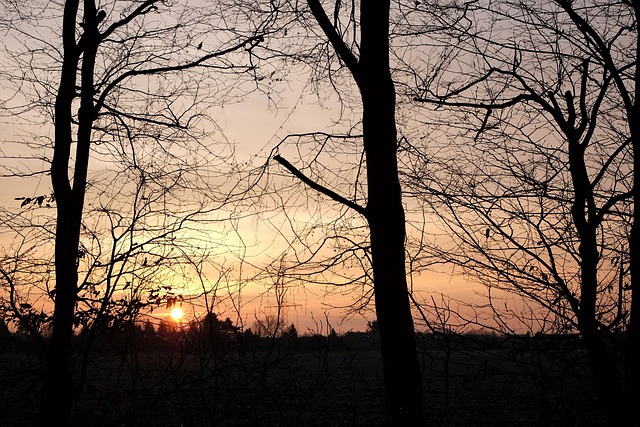 Free Krefeld Sunrise photo and picture
