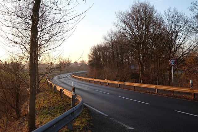 Free Krefeld Country Road photo and picture