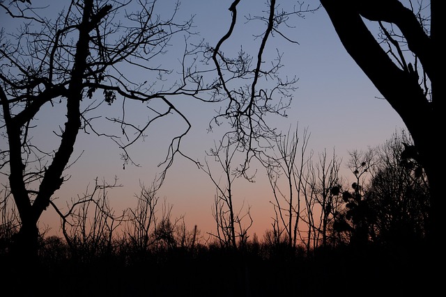 Free Neuss Sunset photo and picture