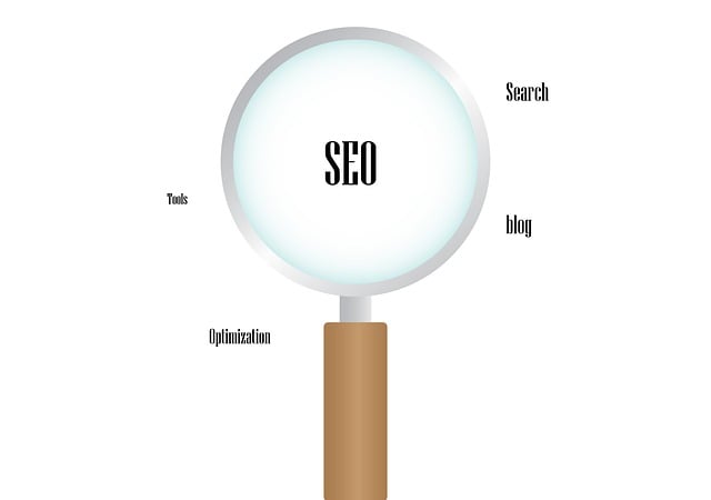 Free Search Seo illustration and picture
