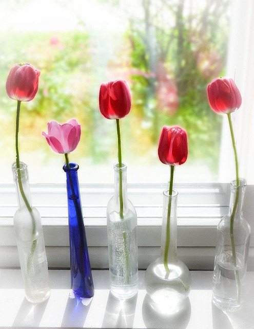 Primavera, Tulipa, Fundo Flor, Garrafa