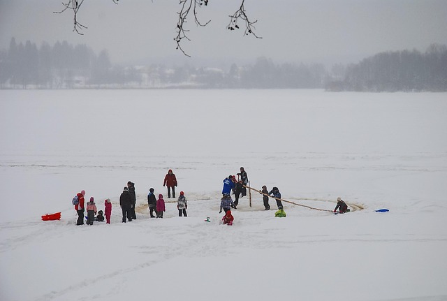 Trenó, Inverno, Lago, Gelo, Grupo, Névoa