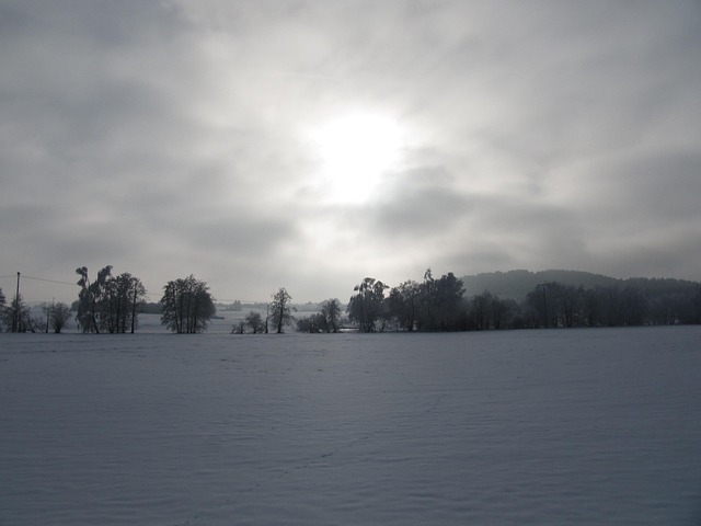 Free Winter Landscape photo and picture