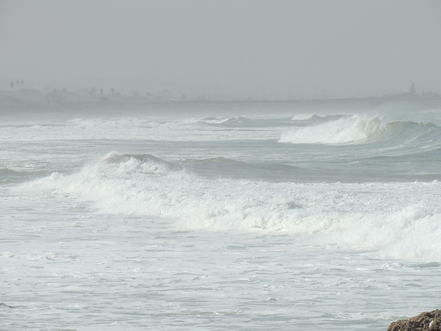 Free Ocean Wave photo and picture