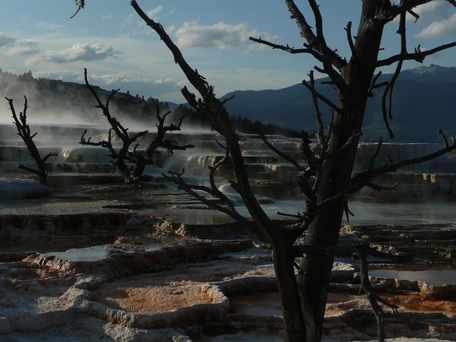 Free Yellowstone National Park Wyoming photo and picture