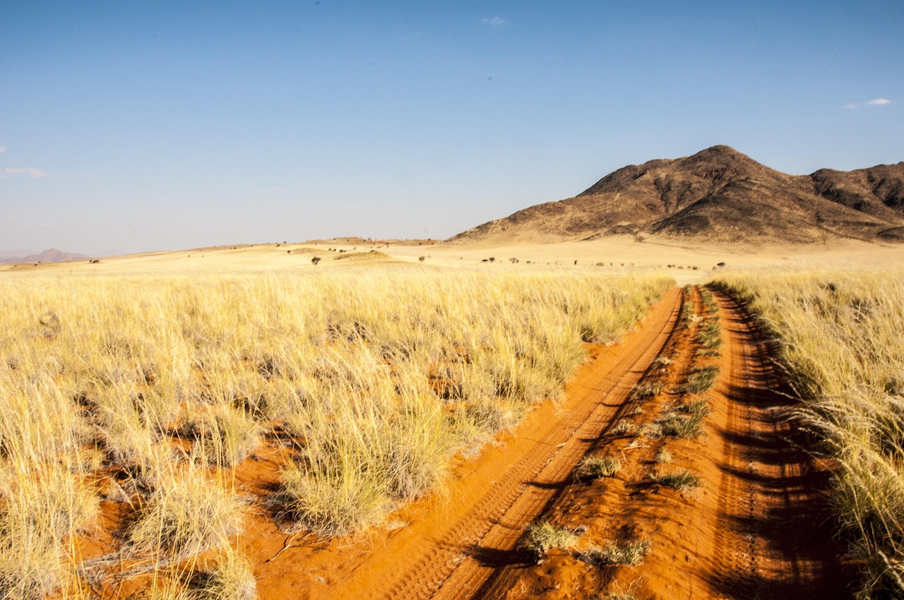Namibia Wolwedans Namib Rand - Kostenloses Foto auf Pixabay - Pixabay