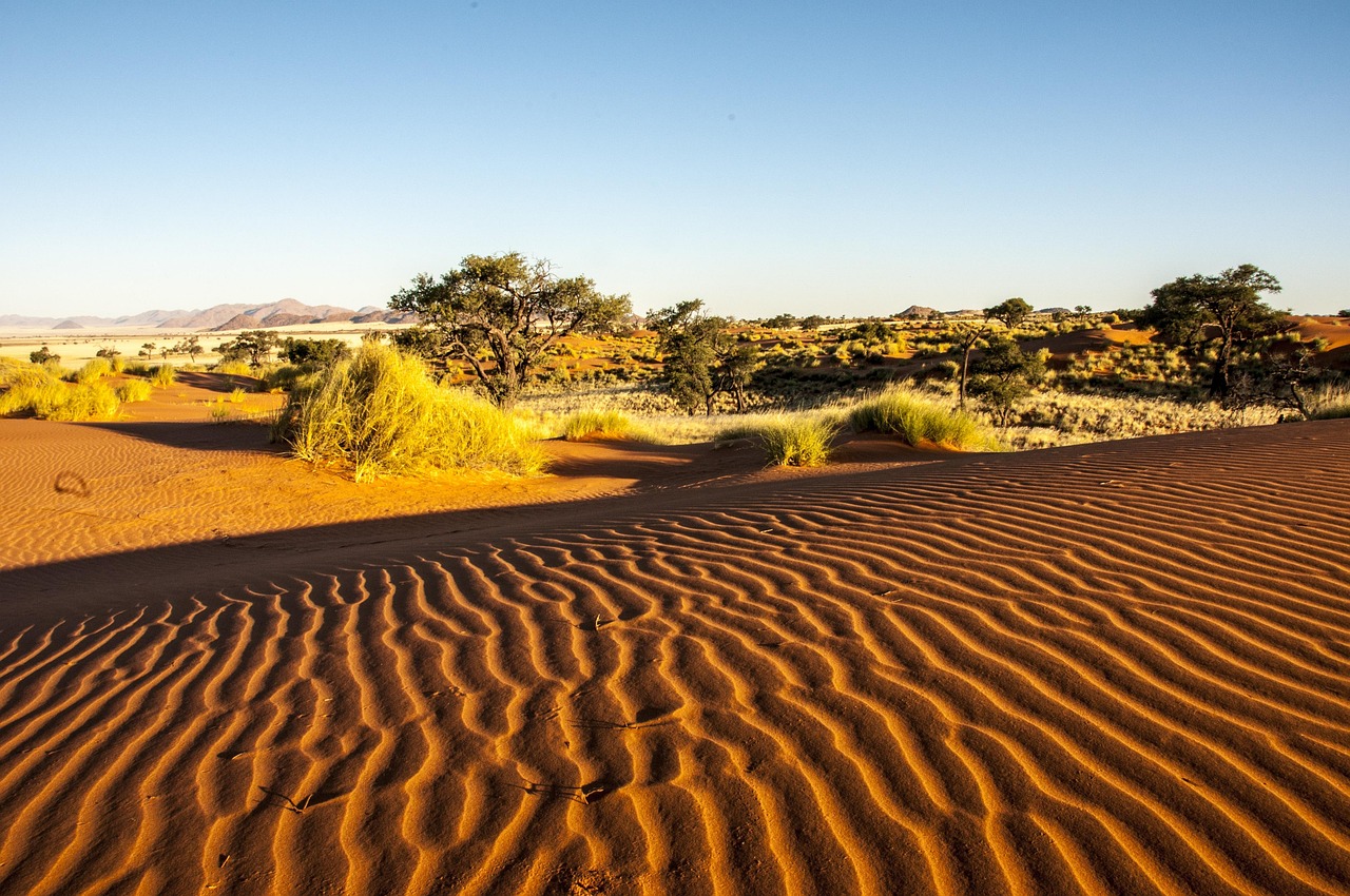Namibia Wolwedans Namib Rand - Free photo on Pixabay - Pixabay