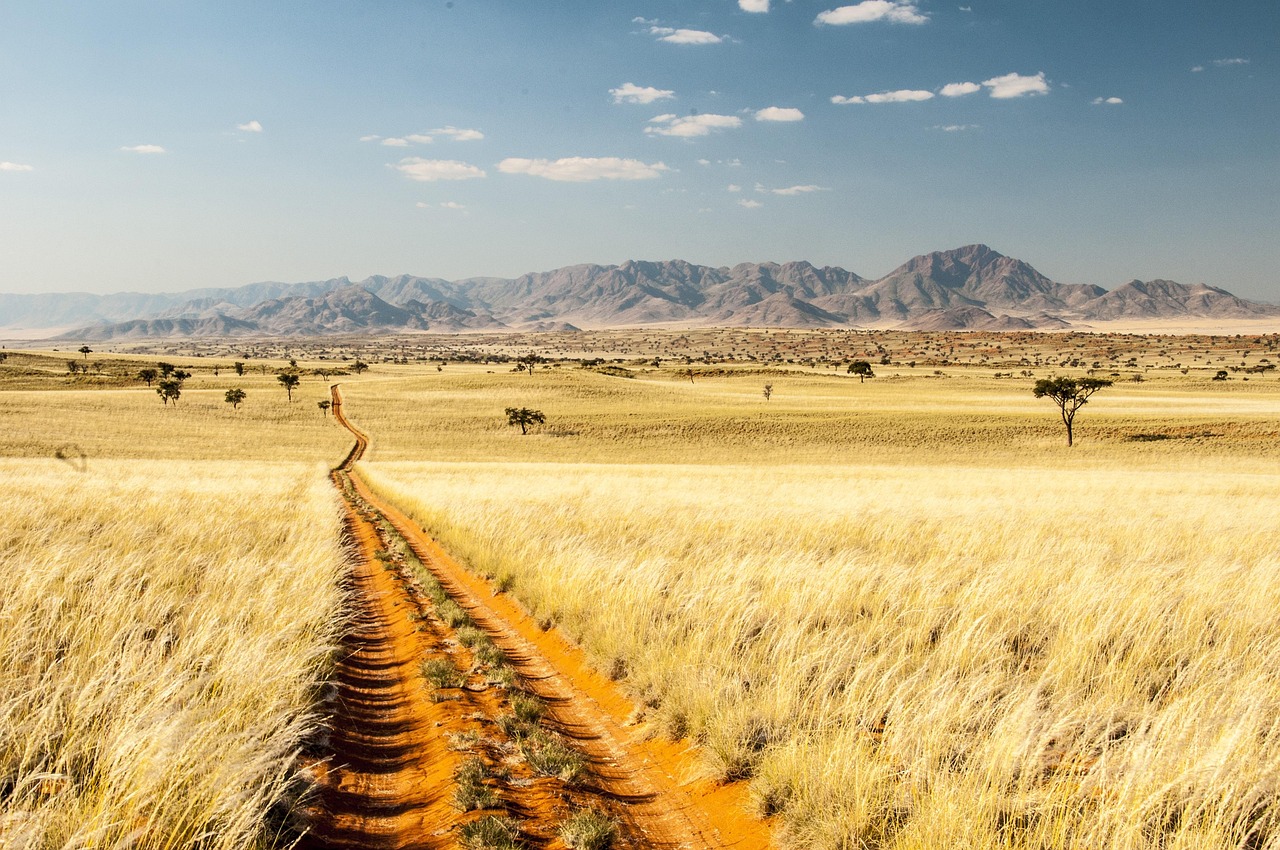 Namibia Wolwedans Namib Rand - Kostenloses Foto auf Pixabay