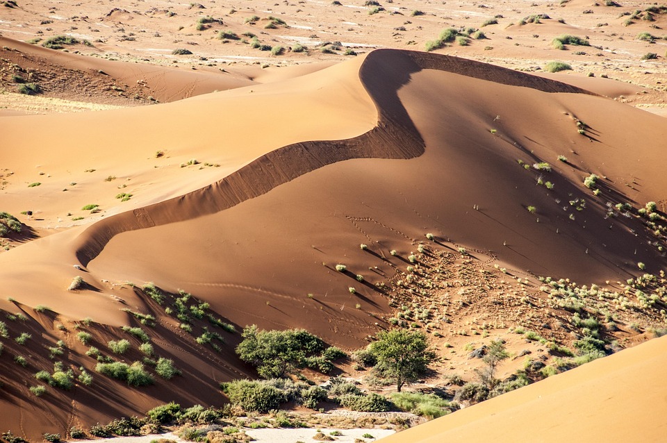 Namibia Wolwedans Namib Rand - Foto gratis en Pixabay