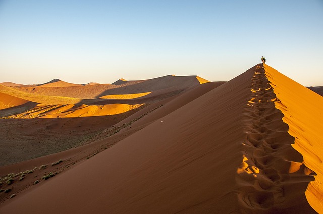 Free Namibia Wolwedans photo and picture