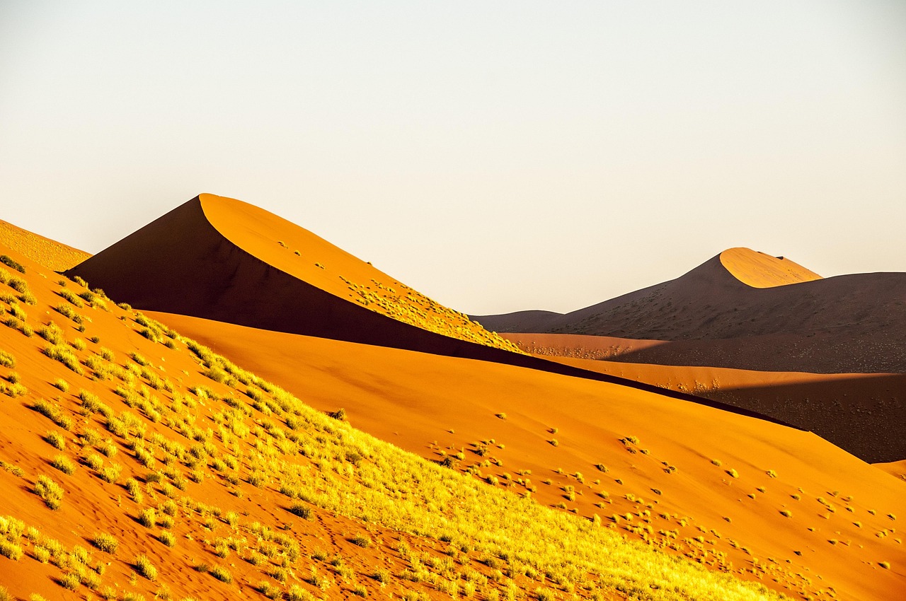 Namibia Wolwedans Namib Rand - Free photo on Pixabay