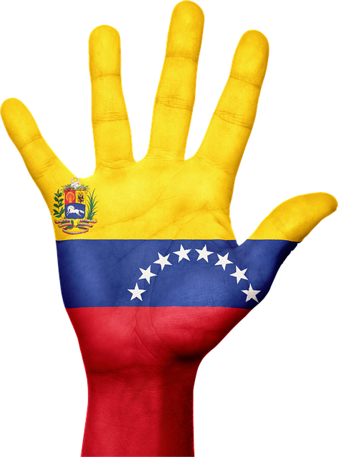 Ms de 10 000 ilustraciones de Bandera De Venezuela y Bandera gratis ...