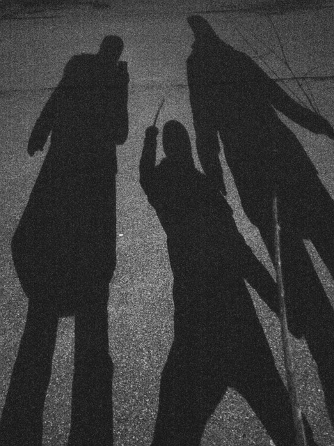 Free The Shade Night photo and picture