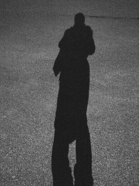 Free The Shade Night photo and picture