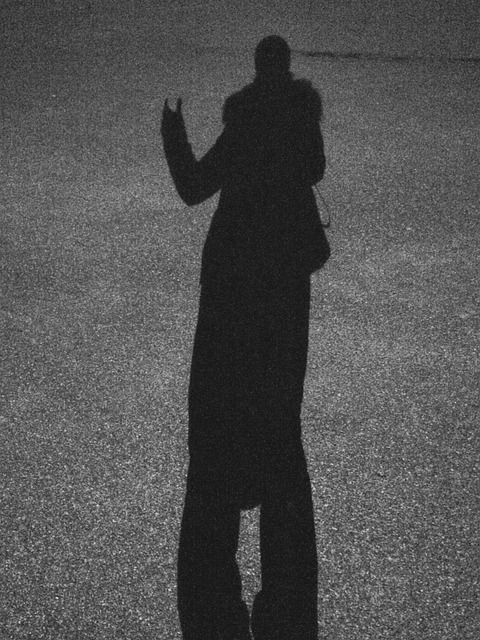 Free The Shade Night photo and picture