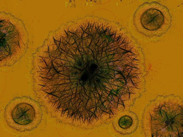 Free virus bacteria germ illustration
