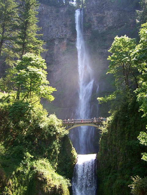 Free Waterfall Bridge photo and picture