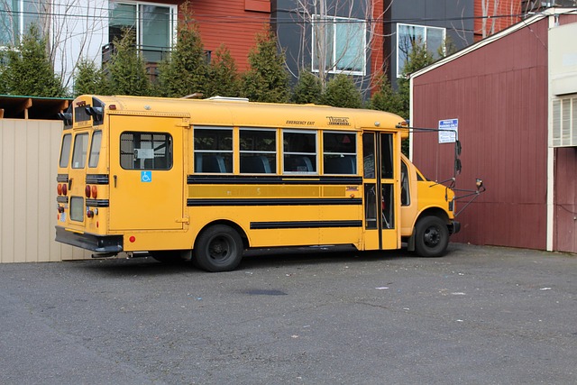 Free School Bus Yellow photo and picture