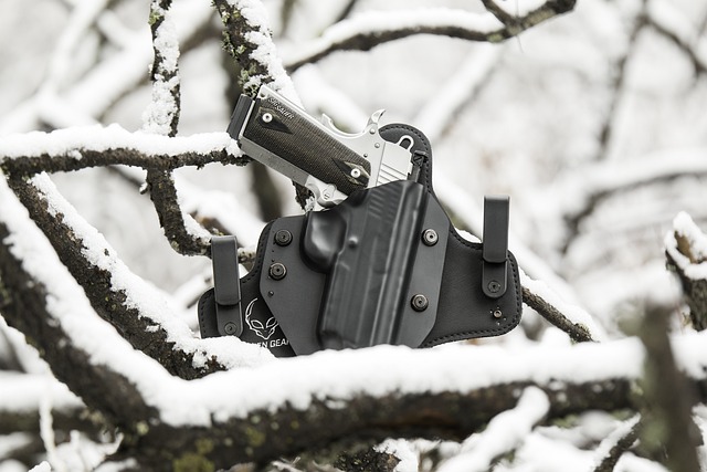 Free Holster Gun photo and picture