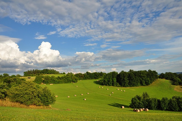 Free Country Summer photo and picture
