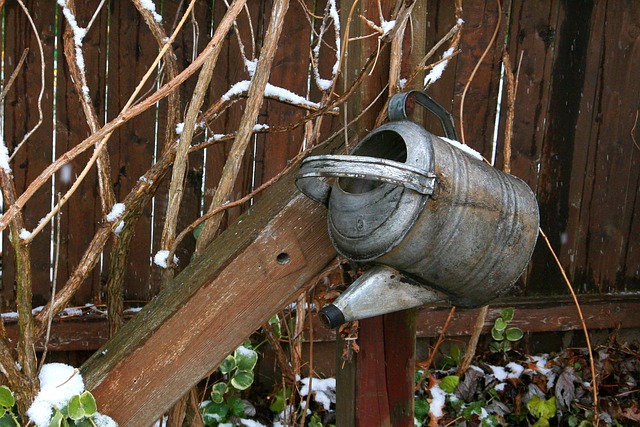 Free Winter Water photo and picture