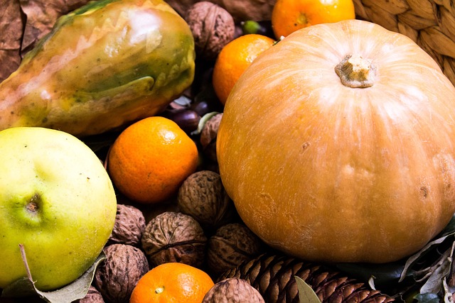 Free Nature Autumn photo and picture