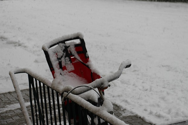 Free Snow Winter photo and picture