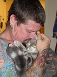 feline, cat, pet