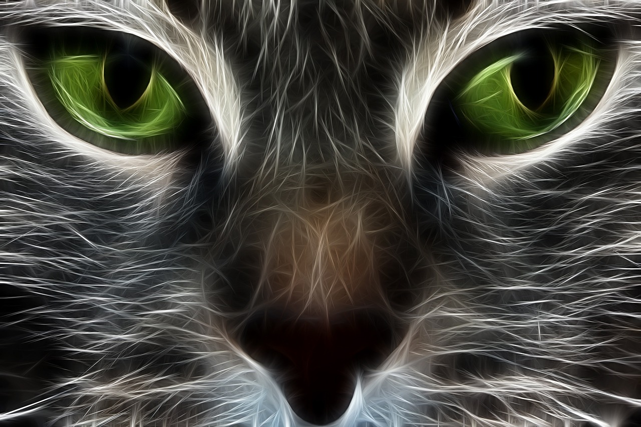 Cat Html Background Images 1,000+ Free Cat Background & Cat Images - Pixabay
