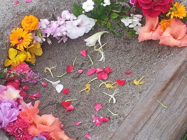Free Flowers Fresh Flowers photo and picture