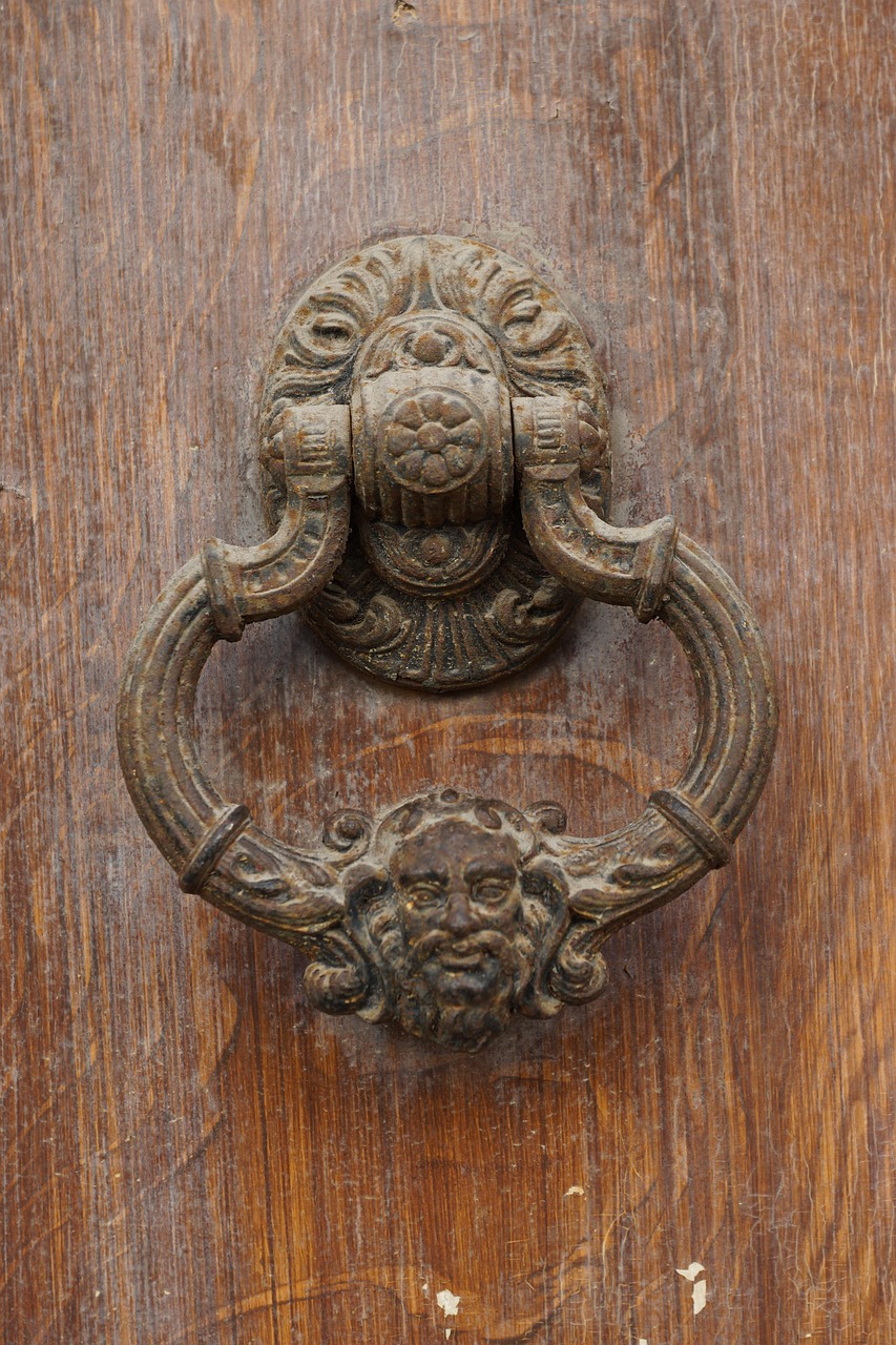 Heurtoir De Porte Tête Lion - Photo gratuite sur