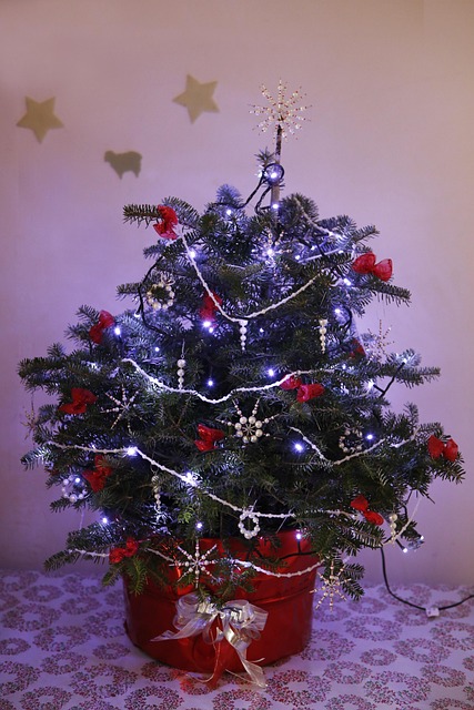 Free Christmas Xmas photo and picture