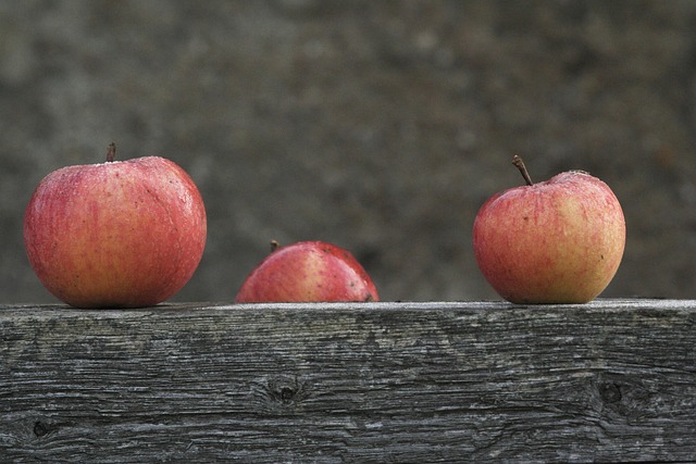 Free Apple Fruit photo and picture