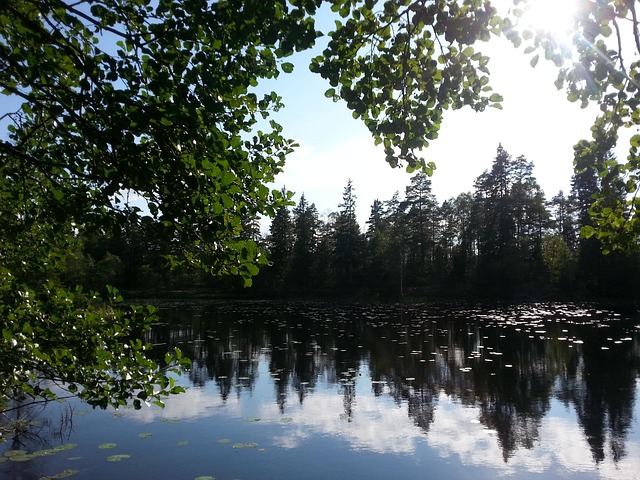Free Lake Nature photo and picture