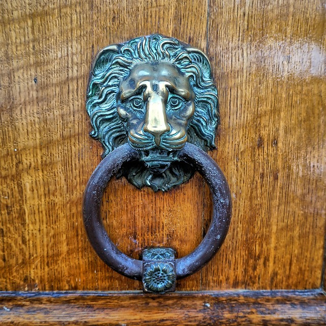 Free Lion Knocker photo and picture