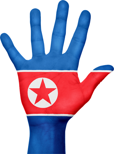 Free north korea flag hand illustration