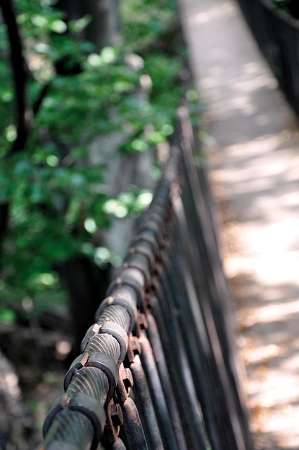 Free Bridge Steel Rope photo and picture