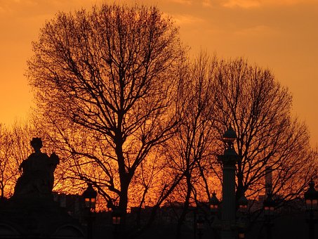 Free Tuileries Paris photo and picture