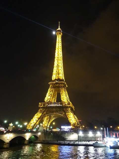 Free Eiffel Tower Night photo and picture